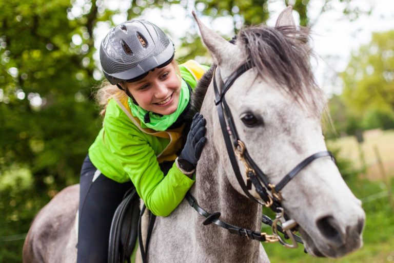 Cavalli da endurance: studio indaga correlazione tra microbioma e performance sportiva